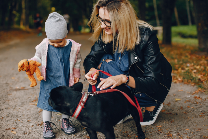 Reisen mit dem Hund – Tipps für Komfort, Sicherheit & stressfreies Unterwegssein