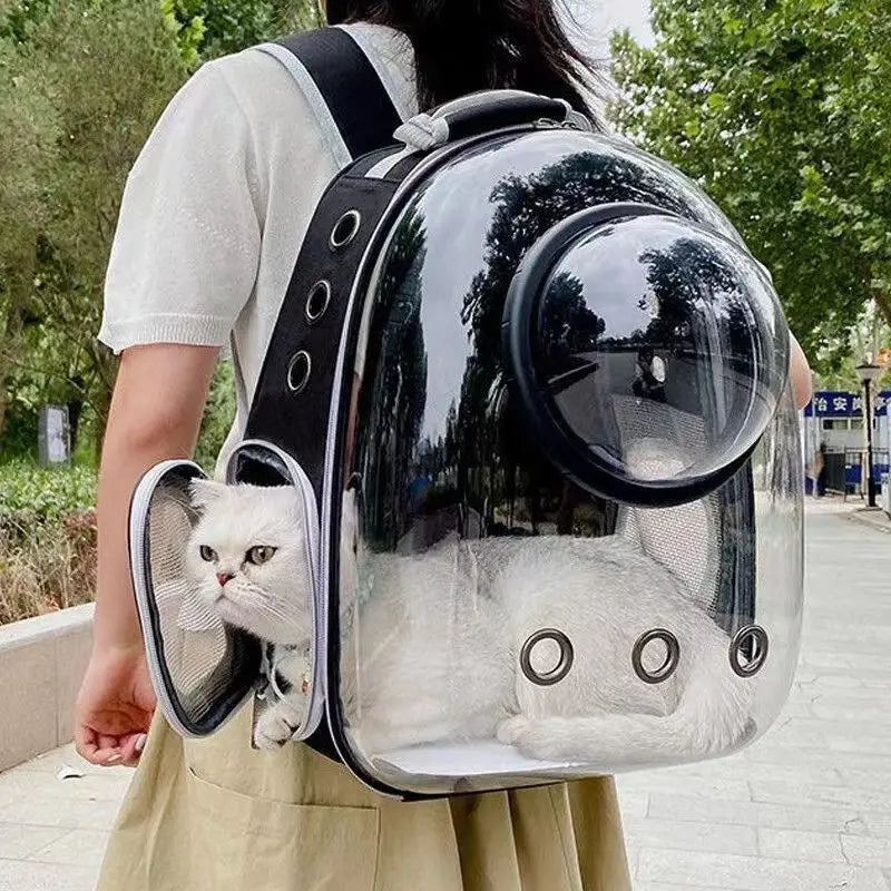 Transparent cat carrier bag with breathable mesh and spacious capsule design