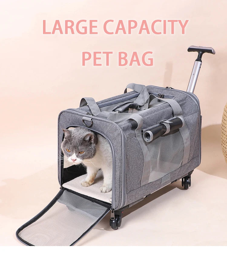 Pet Carrier with Wheels for Dogs Up To 15lbs & Cat  Airline Approved Dog Carrier Rolling Pet Carrier Foldable Pet Stroller