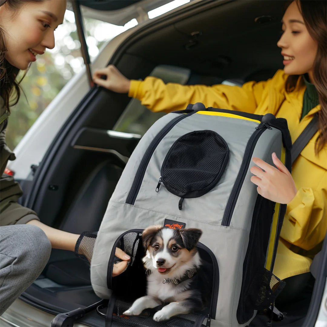 2 in 1 Portable Pet Travel Stroller with Detachable Handle Convertible Car Seat Pushchair for Small Dogs And Cats