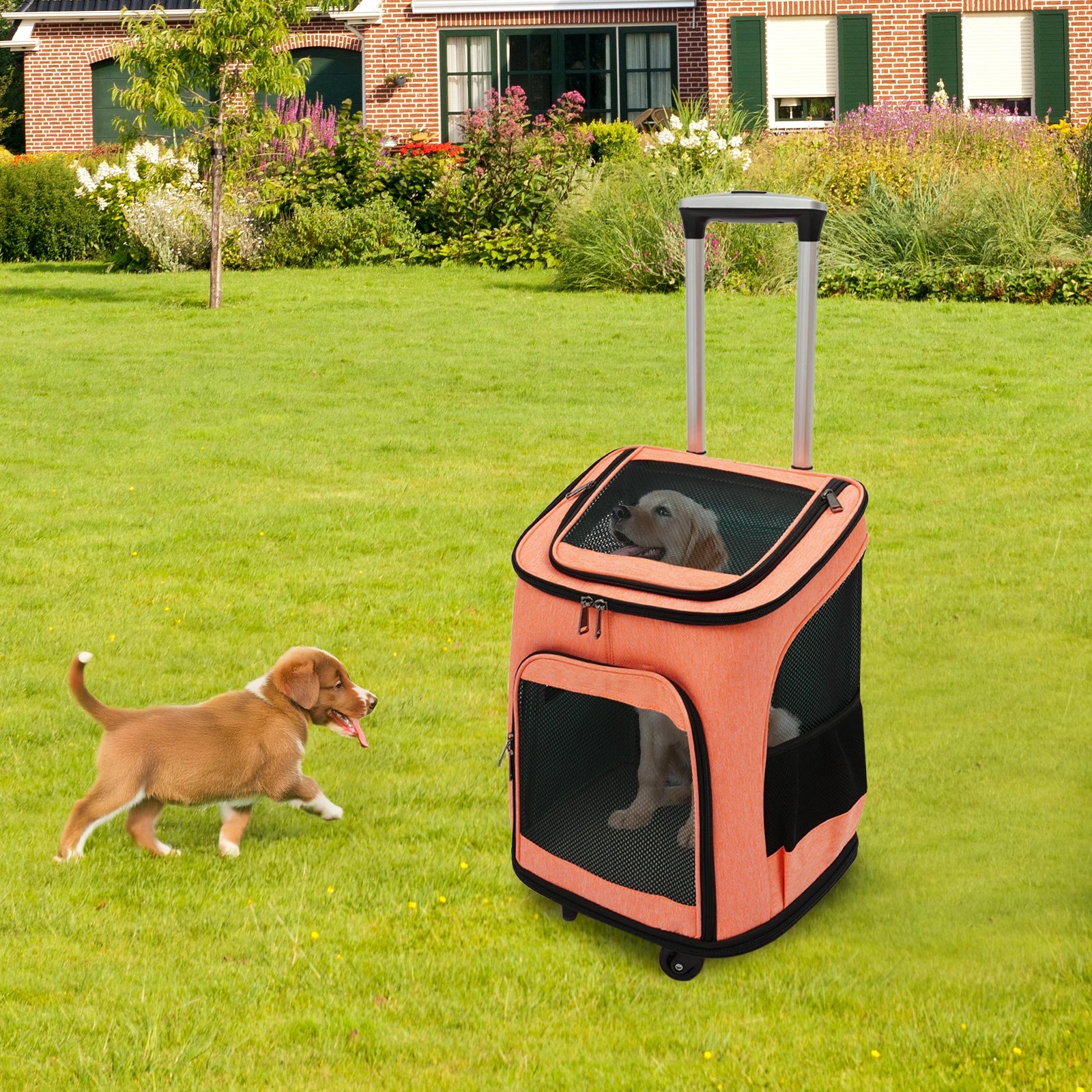 Pet Backpack Fold-Flat Storage Pet Rolling Carrier Tear-Resistant Folding Pet Carrier with Wheels for Travel/Hiking/Walking