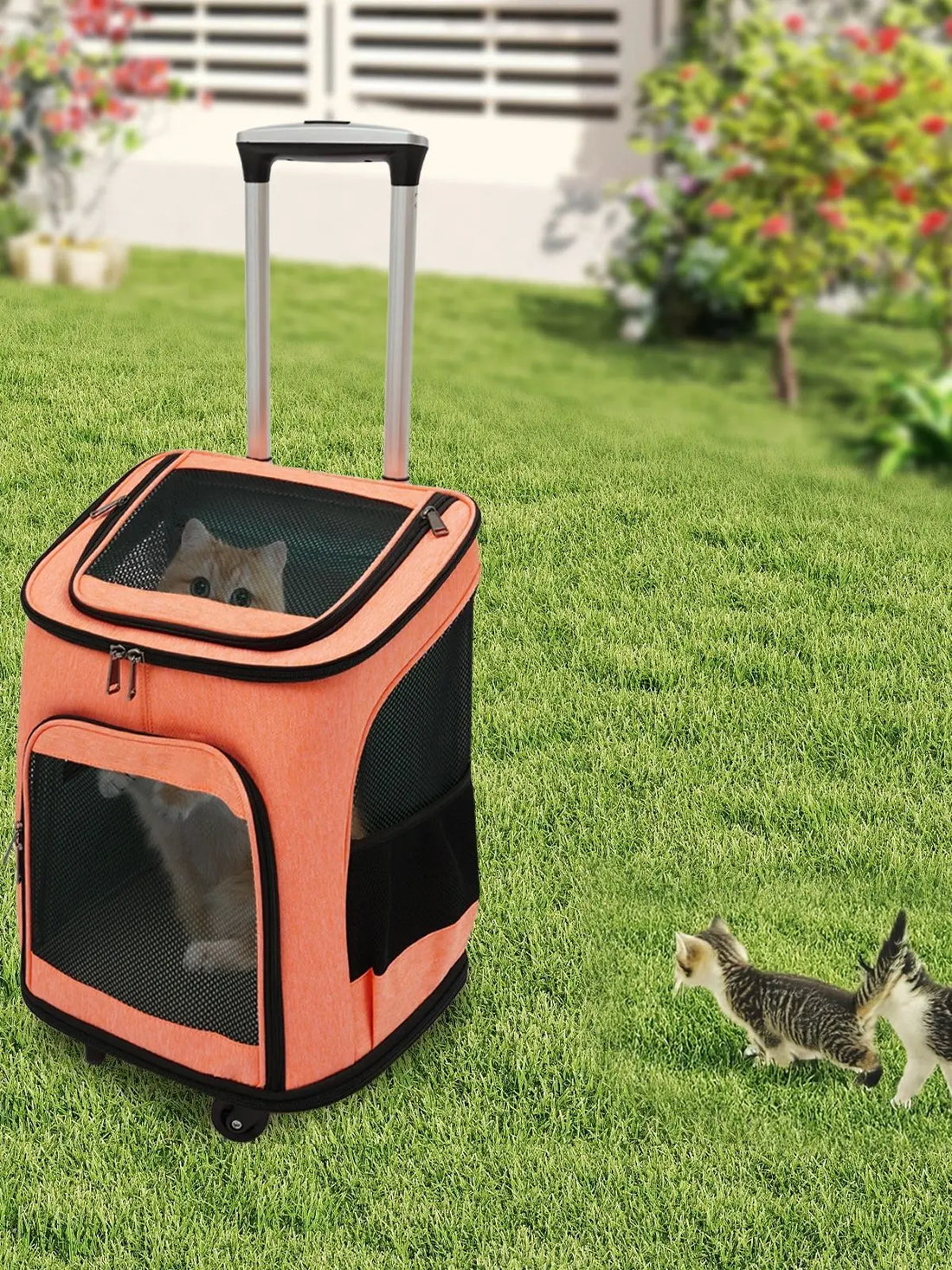 Pet Backpack Fold-Flat Storage Pet Rolling Carrier Tear-Resistant Folding Pet Carrier with Wheels for Travel/Hiking/Walking