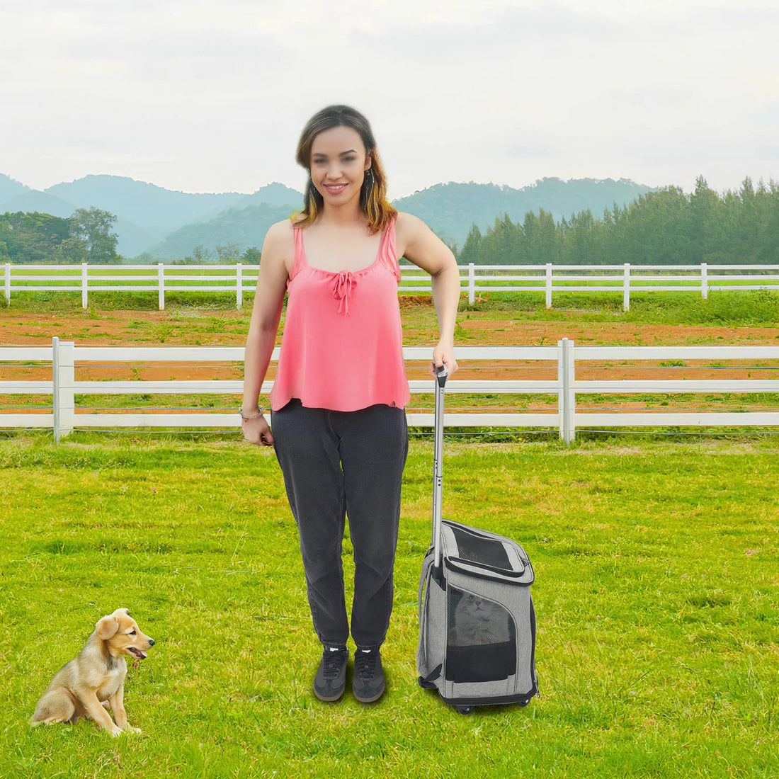 Pet Backpack Fold-Flat Storage Pet Rolling Carrier Tear-Resistant Folding Pet Carrier with Wheels for Travel/Hiking/Walking